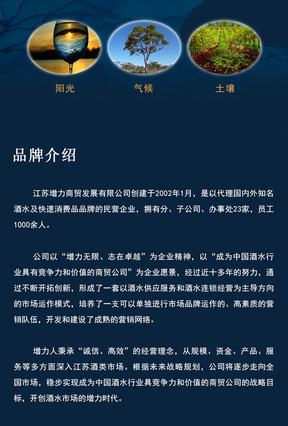 澳藝山莊澳洲原瓶進(jìn)口Y20赤霞珠美樂混釀幹紅750ml單瓶裝(圖4)